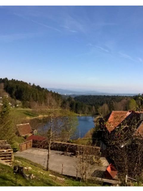 Schlesierhaus Dachsberg im Schwarzwald Exterior foto